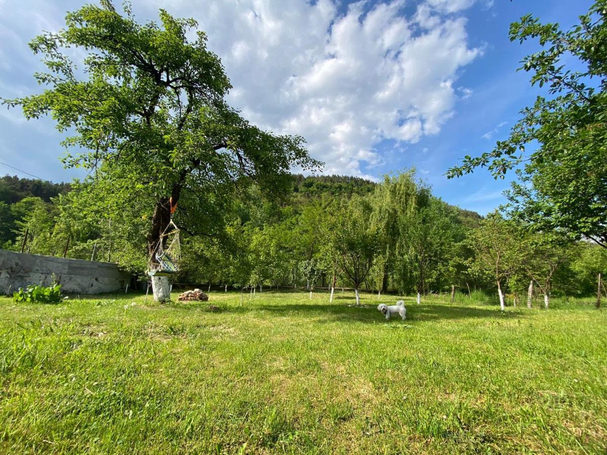 Casa Carbunaru Тиргу-Окна Екстер'єр фото
