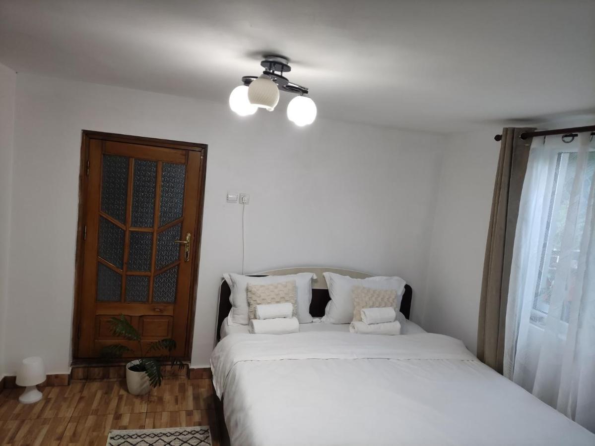 Casa Carbunaru Тиргу-Окна Екстер'єр фото